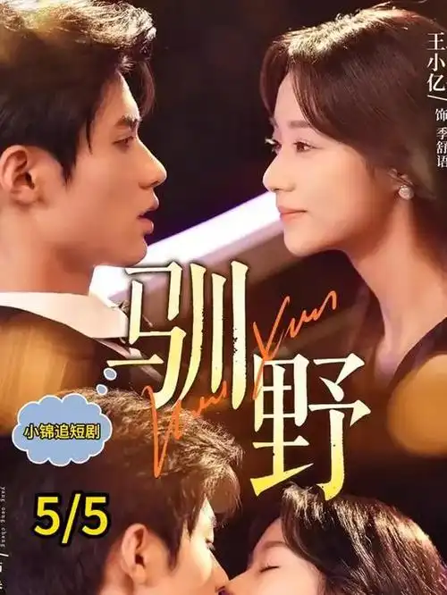 风起南淮 悬疑剧集在线观看